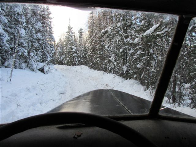 WINDSHIELD